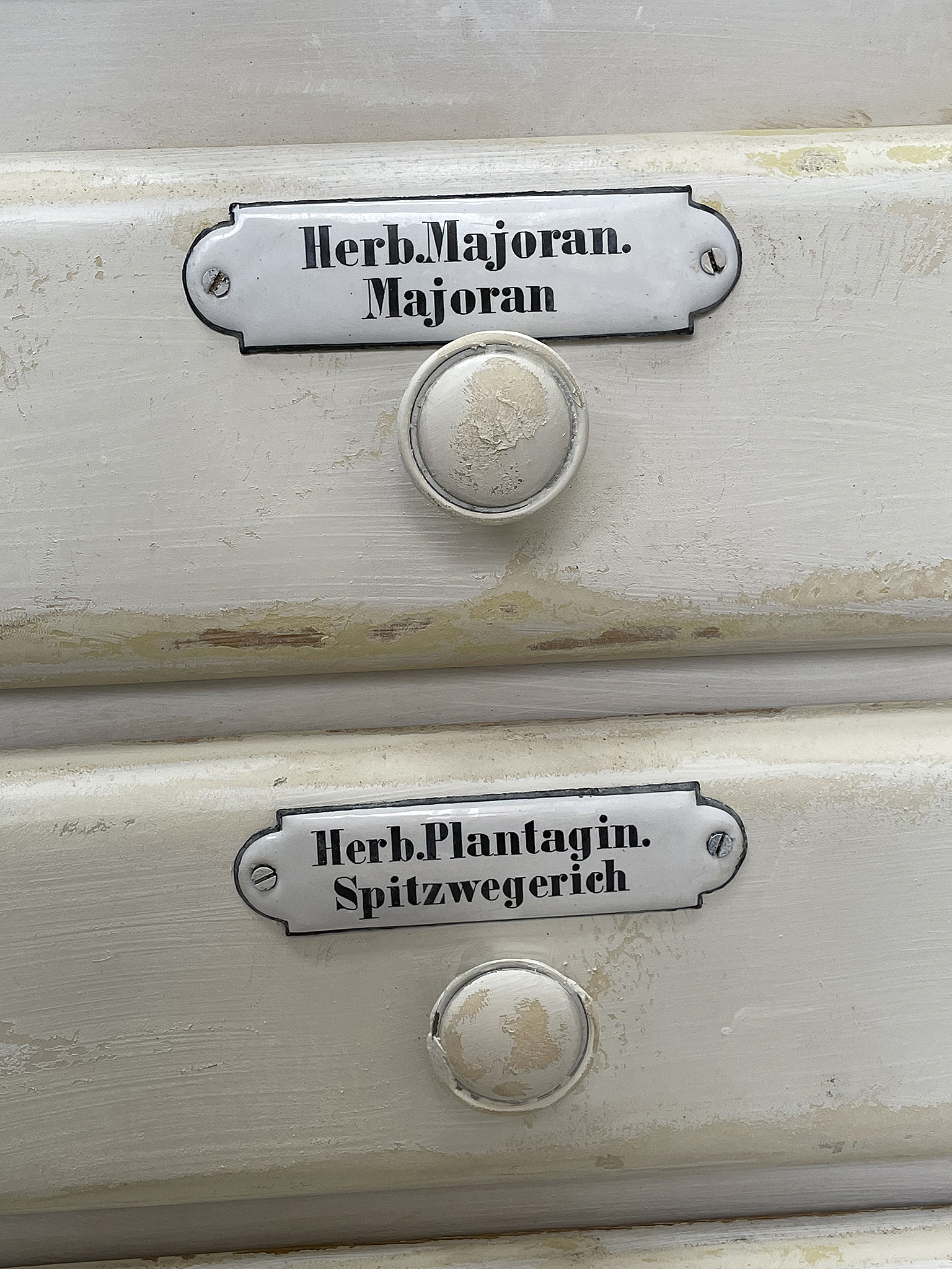 Kräuterglas mit Beschriftungen für Majoran und Spitzwegerich Detailaufnahme eines Kräuterglases mit Etiketten für Majoran und Spitzwegerich