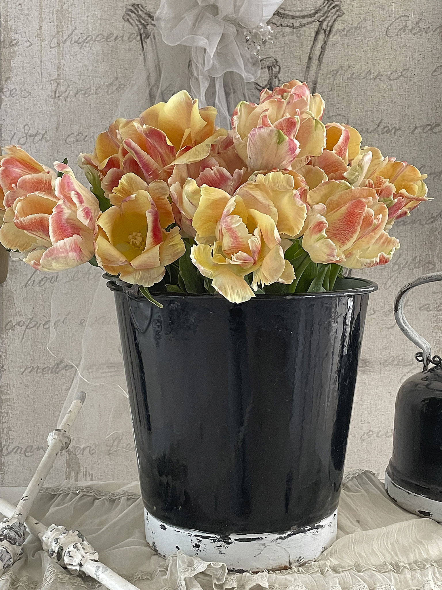 Bunte Tulpen in einem schwarzen Eimer stehen stilvoll dekoriert