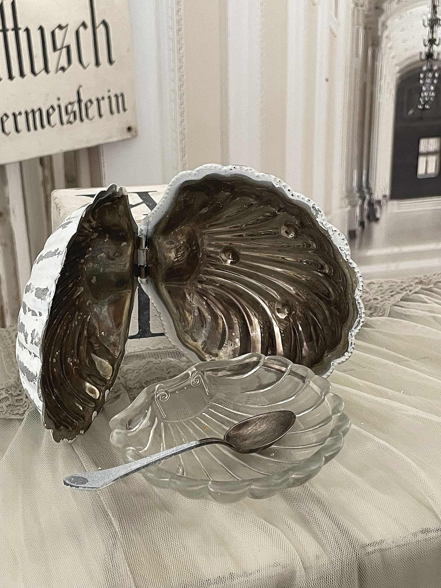 Alte Kaviarmuschel mit süßer Schale***