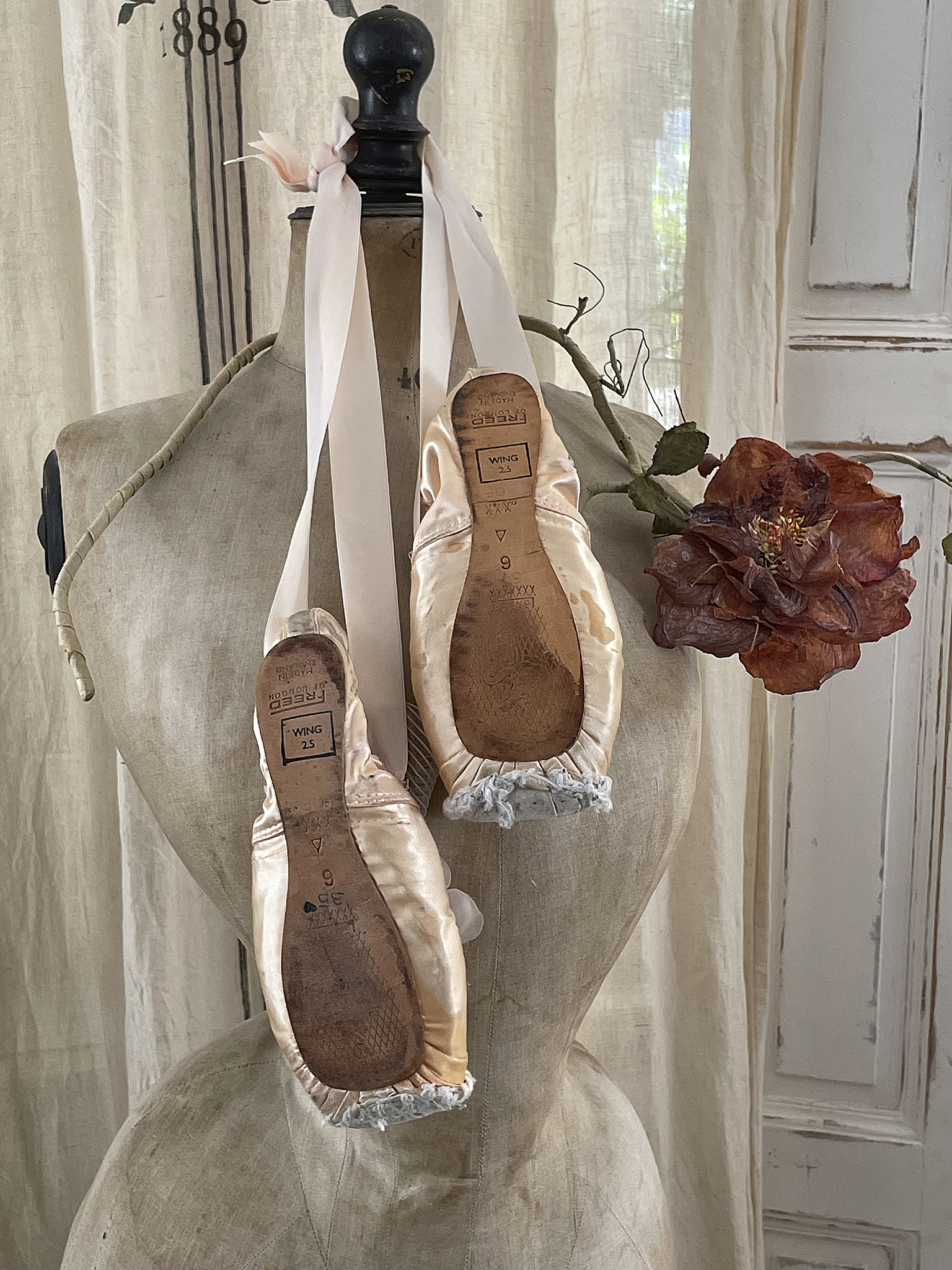 Elegante Ballettschuhe mit Riemen auf einer Schneiderpuppe Ballettschuhe mit rosafarbenen Riemen hängen an einer Schneiderpuppe, im Hintergrund ein blühendes Accessoire.