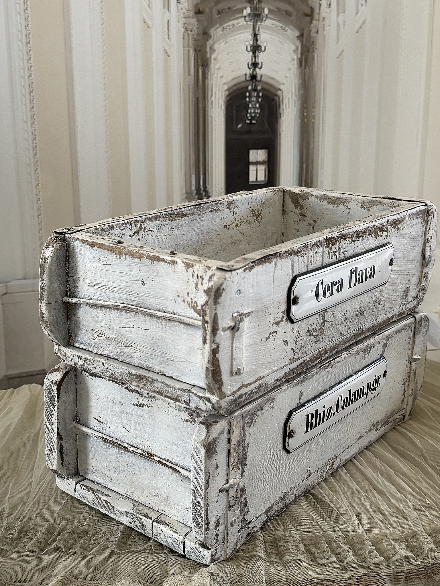 Antikes Apothekerkisten-Duo mit Geschichte***