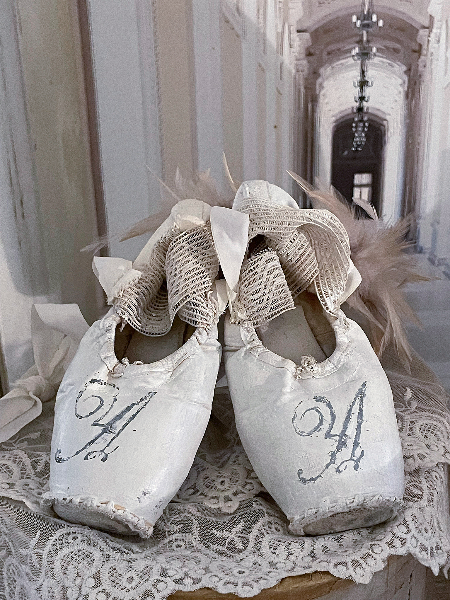 Elegante Ballettschuhe mit zarten Riemchen und historischer Ästhetik Zwei Ballettschuhe auf einem Tisch, umgeben von feiner Spitze und mit Schnürungen.