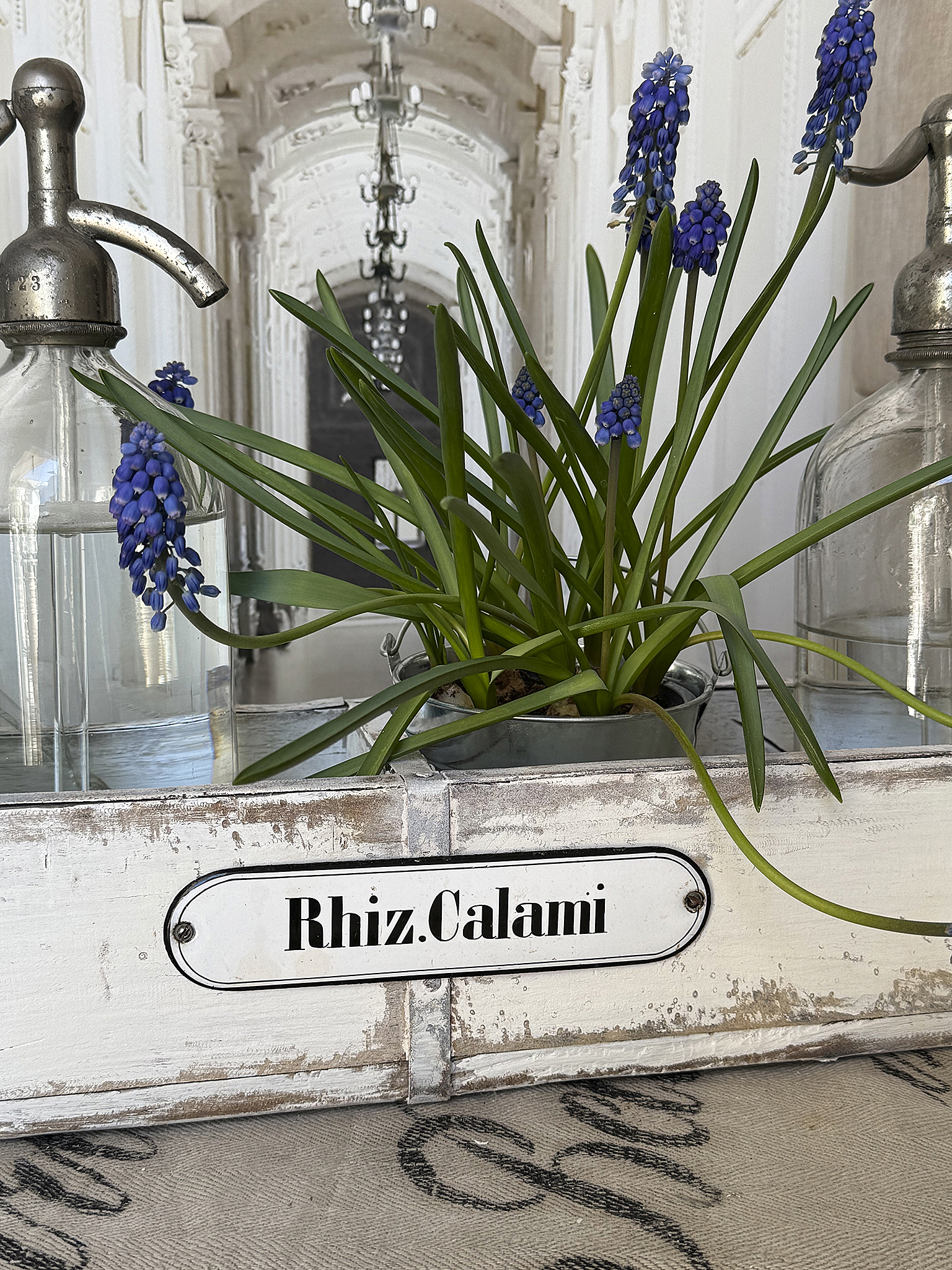 Antike langschmale Apothekerschublade mit Geschichte***