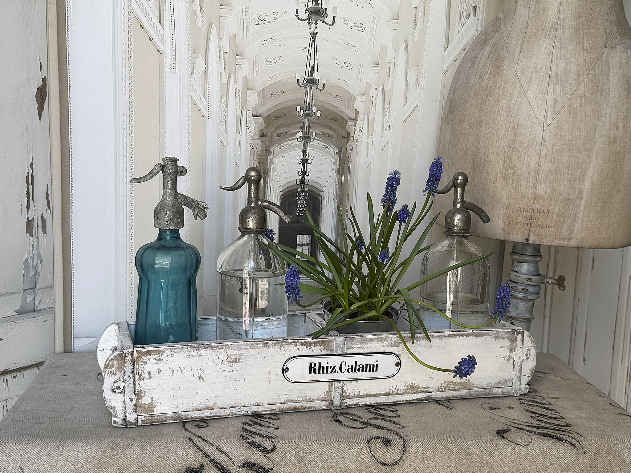 Antike langschmale Apothekerschublade mit Geschichte***