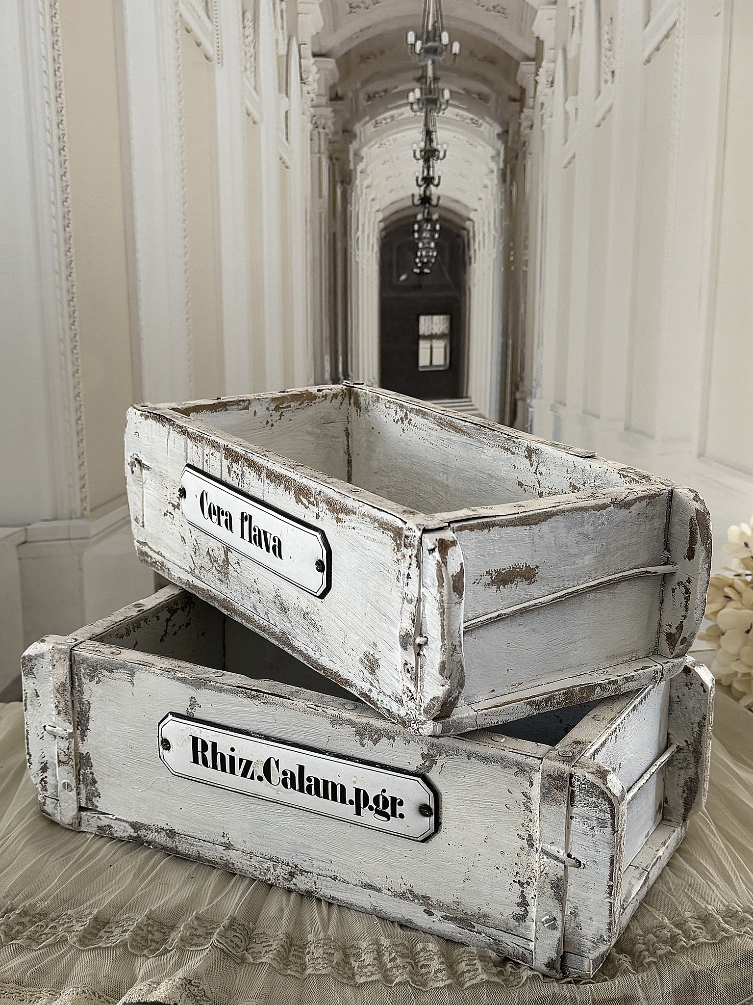 Antikes Apothekerkisten-Duo mit Geschichte***