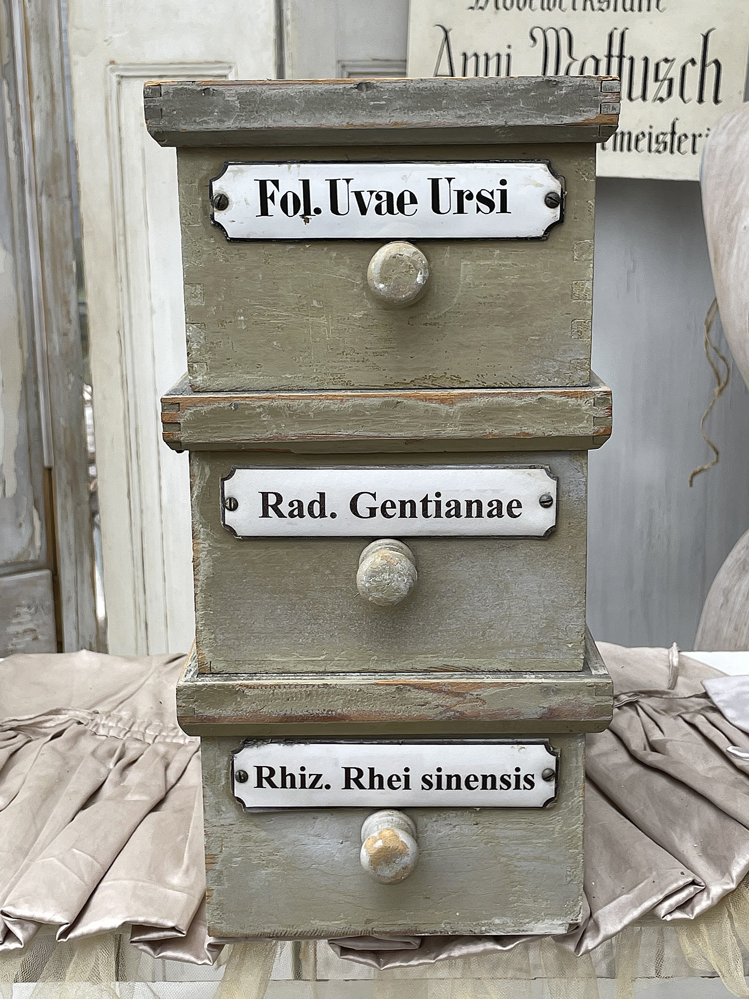 Antiker Holzschrank mit beschrifteten Schubladen Drei Schubladen eines vintage Holzschranks mit Aufschriften Fol. Uvae Ursi, Rad. Gentianae und Rhiz. Rhei sinensis.
