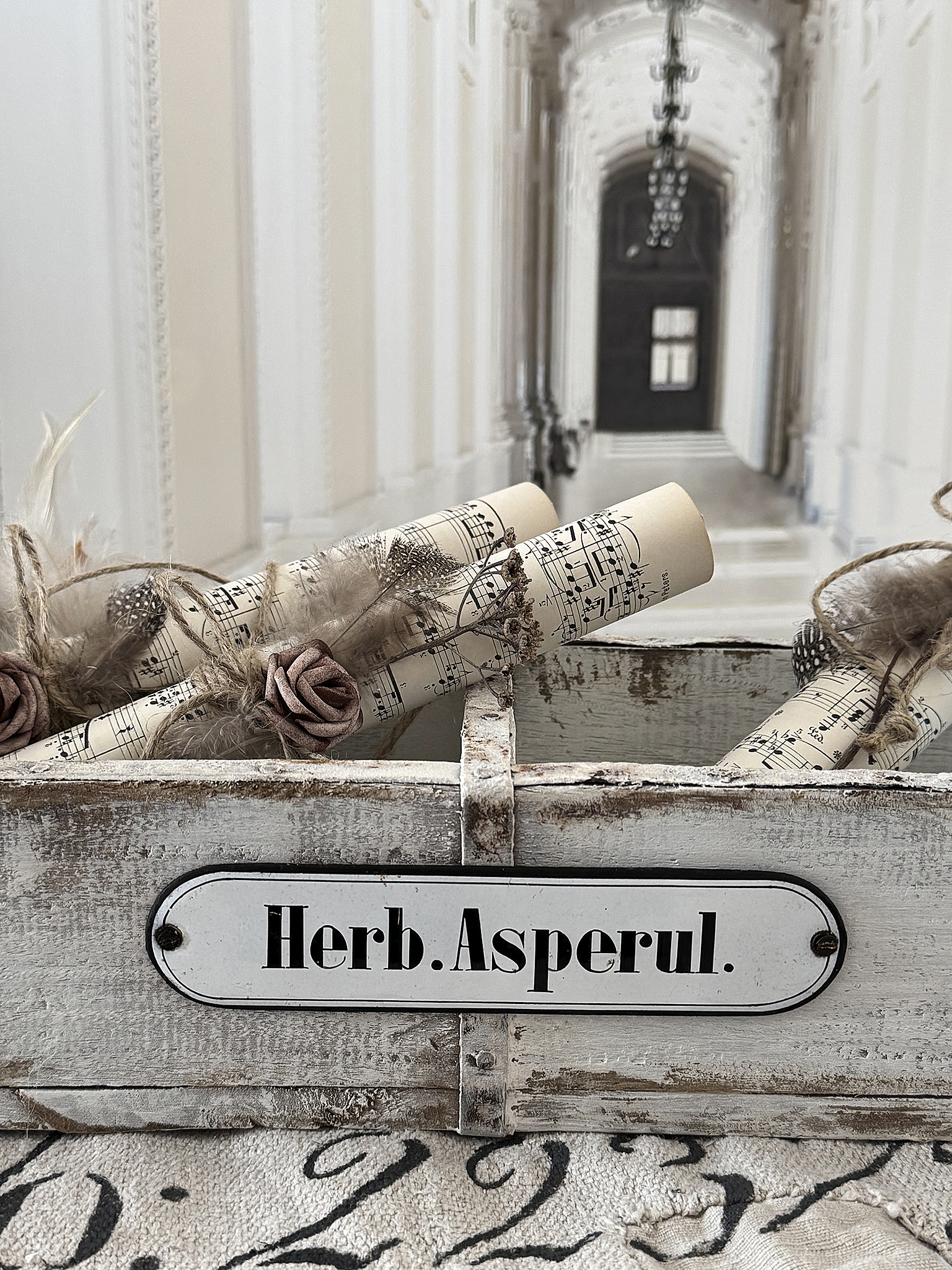 Antike lange  Apothekerschublade mit Geschichte- Asperul***