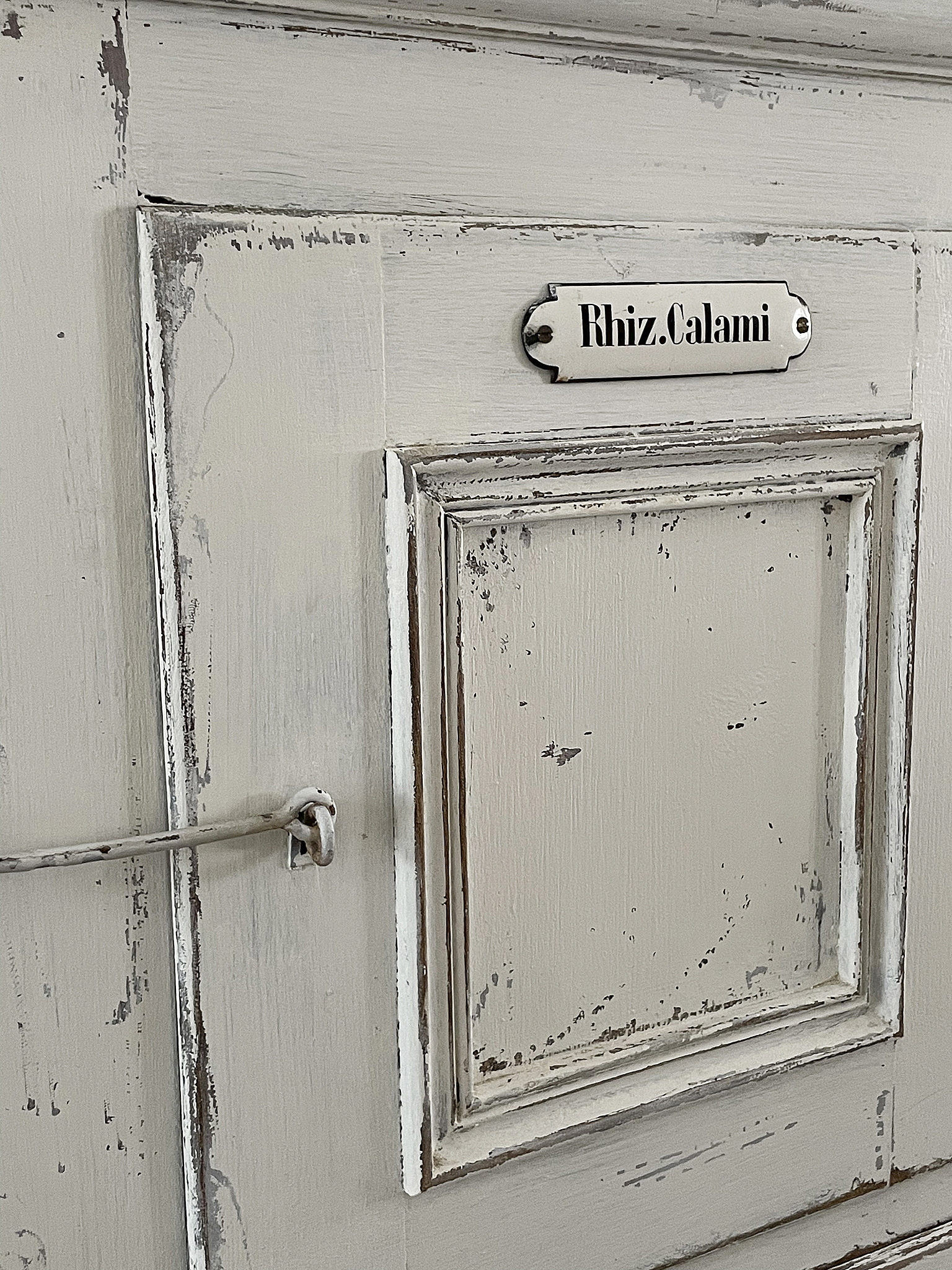 Vintage Schrankelement mit Glanzstück Detailansicht eines Vintage Schrankelements mit der Aufschrift "Rhiz.Calami" in einer rustikalen Umgebung.