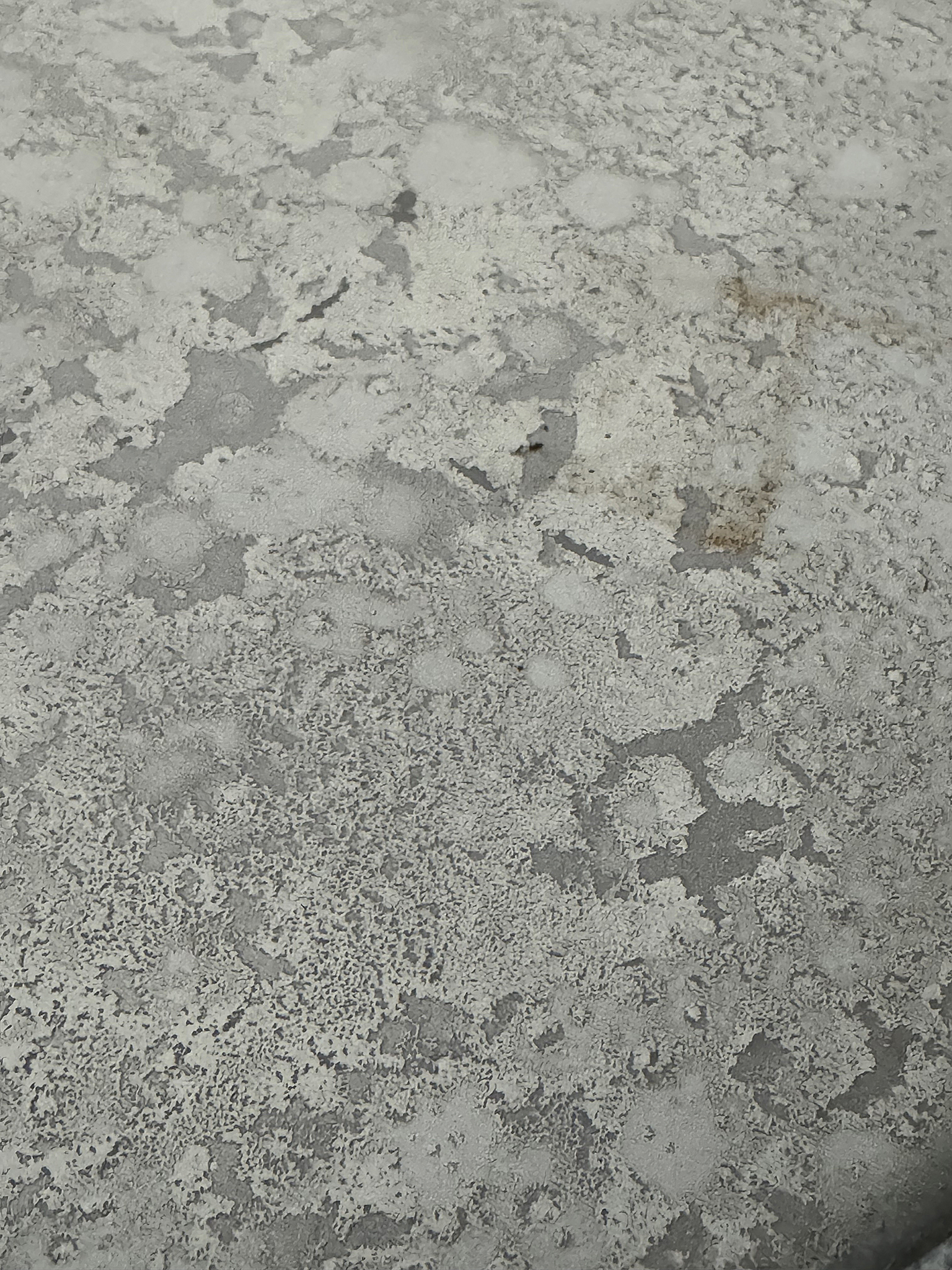 Wunderschöne alte Marschtrommel / Beistelltisch***