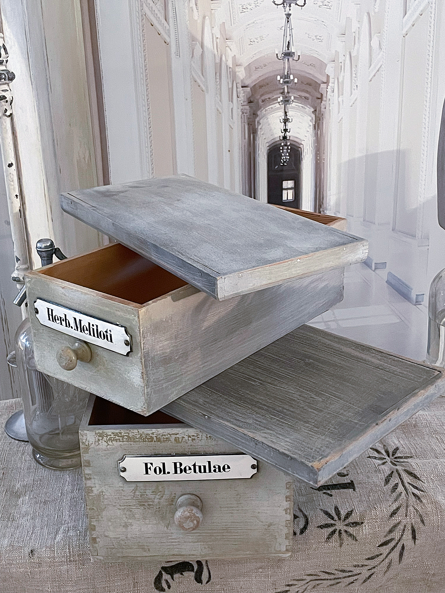 Holzkästchen mit Beschriftungen "Herb. Melitoti" und "Fol. Betulae" auf einem Tisch