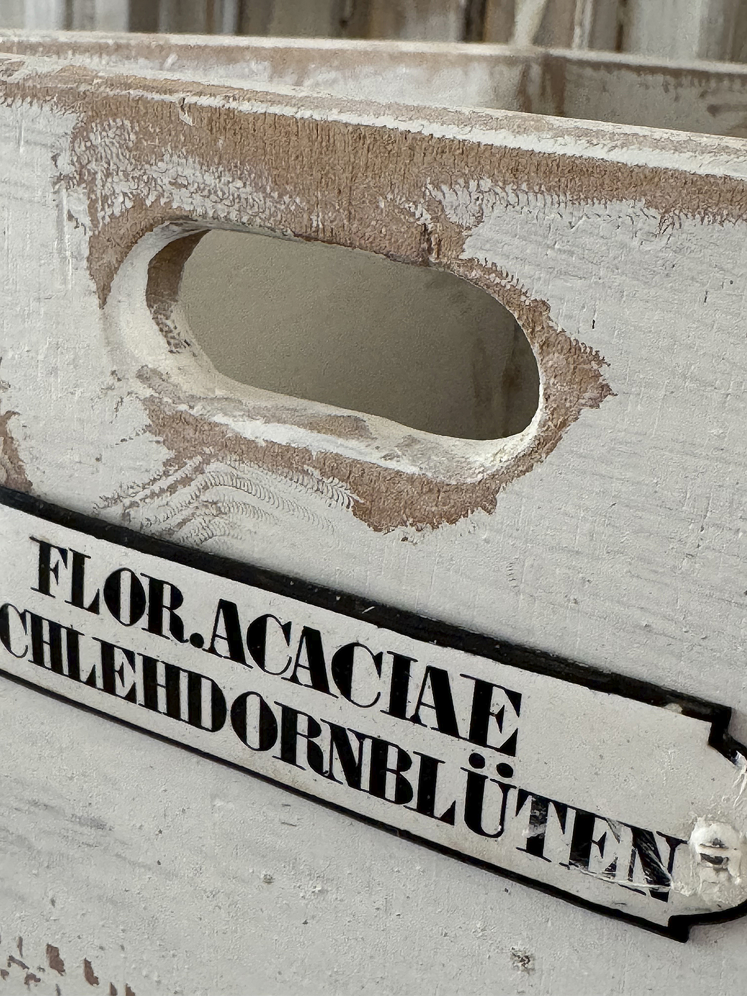 Alte Holzkiste-Schlehdornblüten***