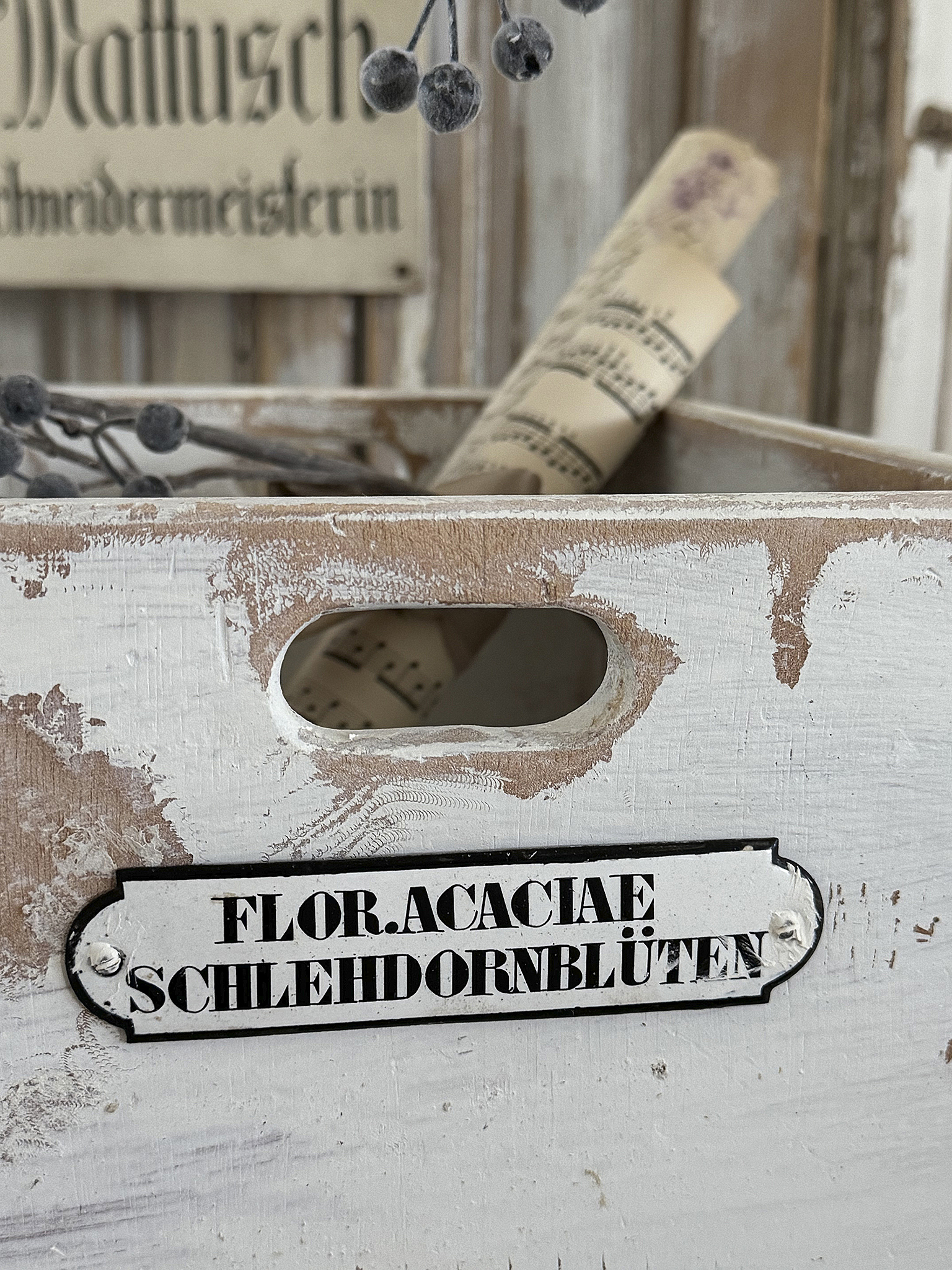 Alte Holzkiste-Schlehdornblüten***