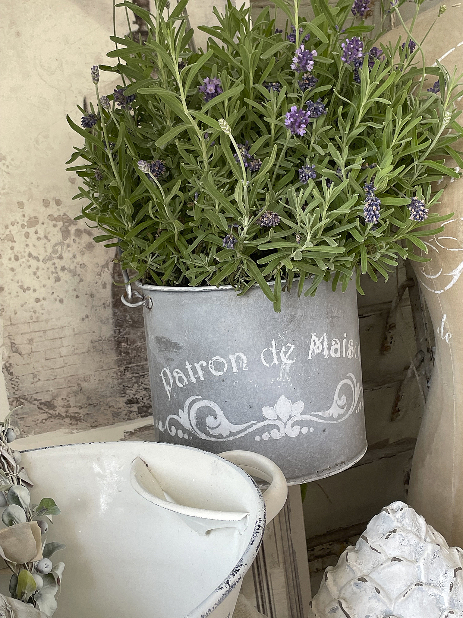 Zinktopf mit Lavendel für aussen oder innen Zinktopf mit Lavendel, dekorativ für die Wohnung oder den Garten