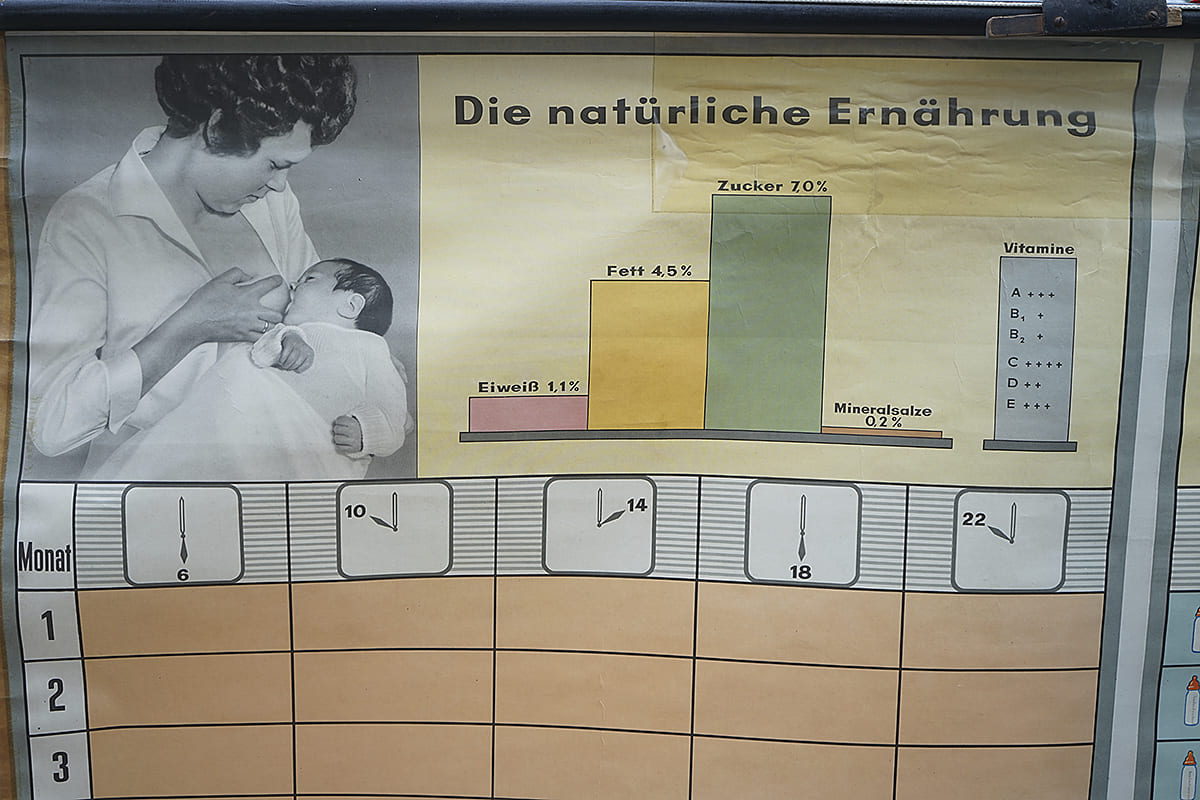 Lehrreiche Grafik über die Nährstoffzusammensetzung in der natürlichen Ernährung für Säuglinge, inklusive Eiweiß, Fett, Zucker und Vitamine.