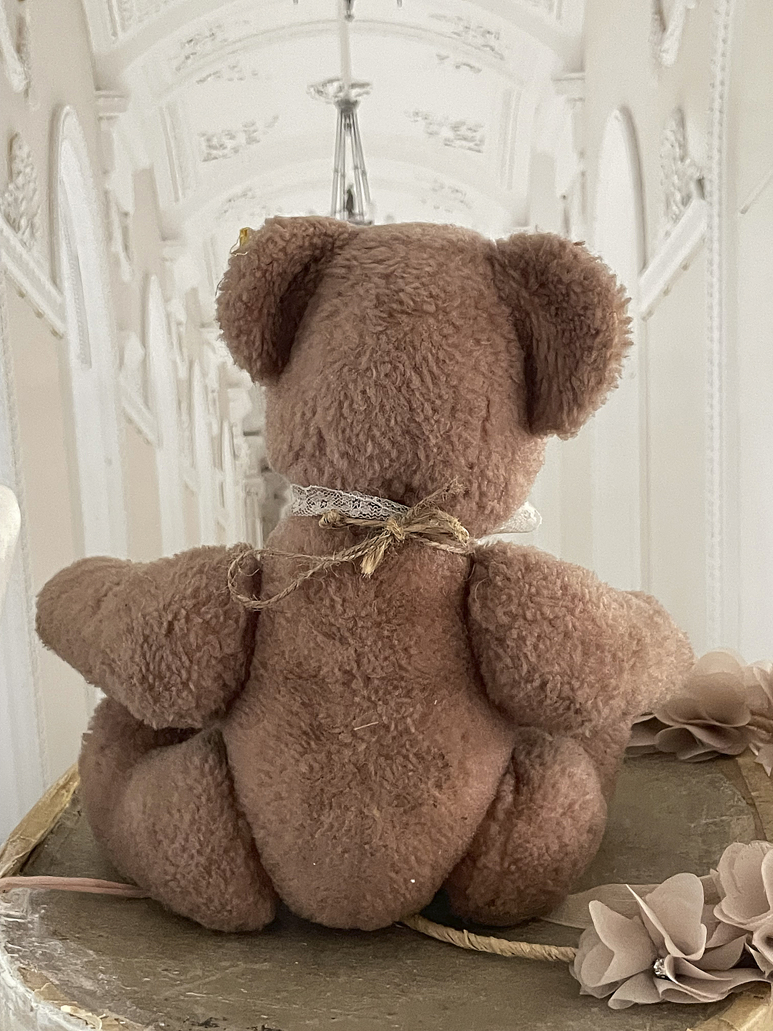 Süßer brauner Teddybär sitzt auf einem Tisch Blick von hinten auf einen braunen Teddybär, der auf einem Tisch sitzt und von einer eleganten Umgebung umgeben ist.