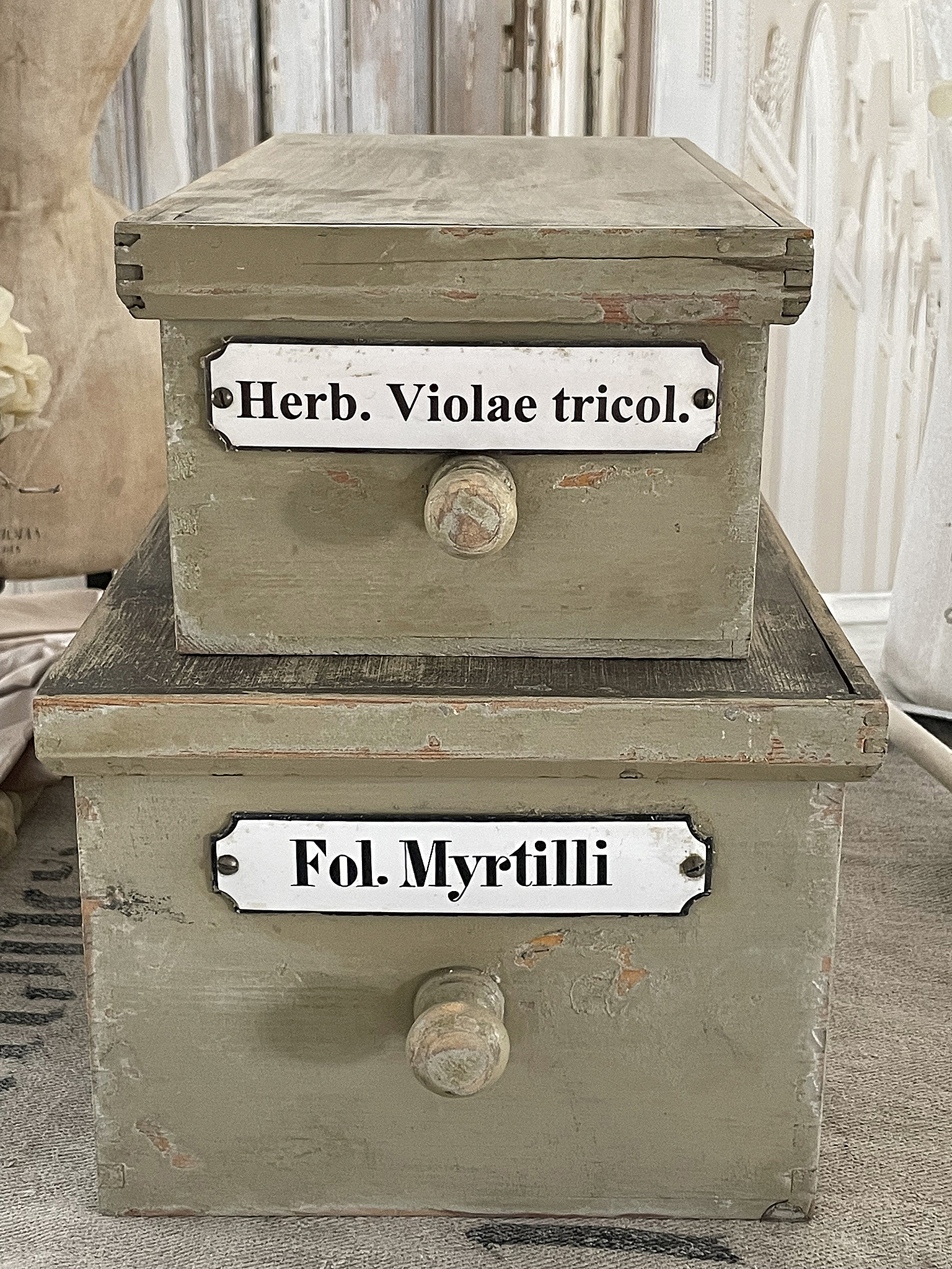 Zwei antike Kräuterkisten aus Holz mit den Beschriftungen Herb. Violae tricol. und Fol. Myrtilli.