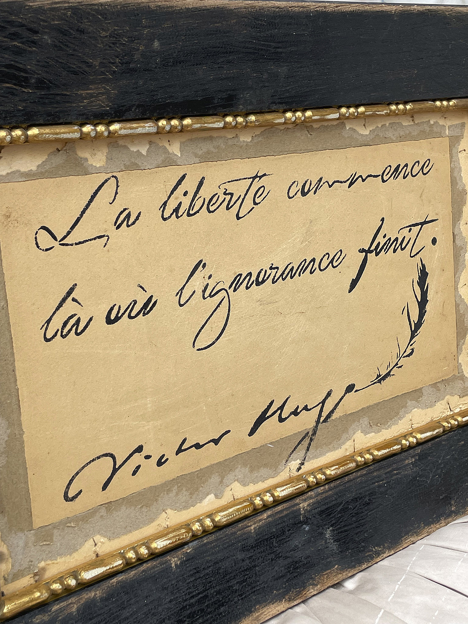 Zitat von Victor Hugo: Freiheit und Ignoranz Ein gerahmtes Zitat von Victor Hugo, das die Freiheit thematisiert.