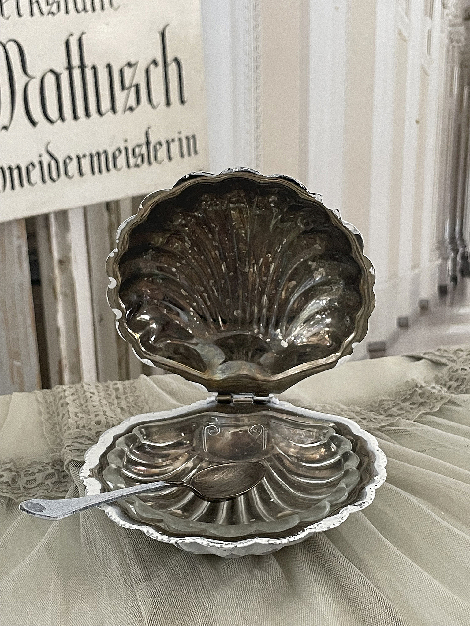 Alte Kaviarmuschel mit süßer Schale***