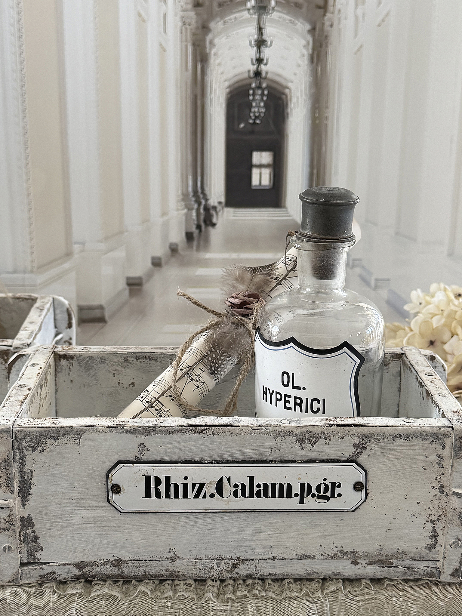 Antikes Apothekerkisten-Duo mit Geschichte***
