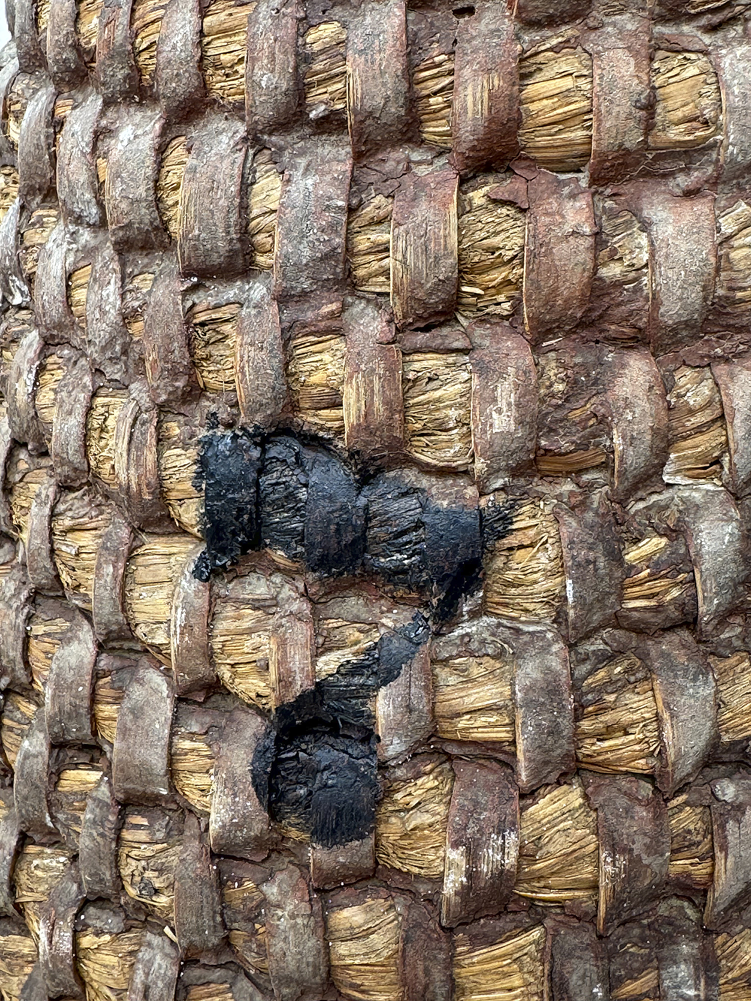 Alter Bienenkorb*** Alter Bienenkorb***