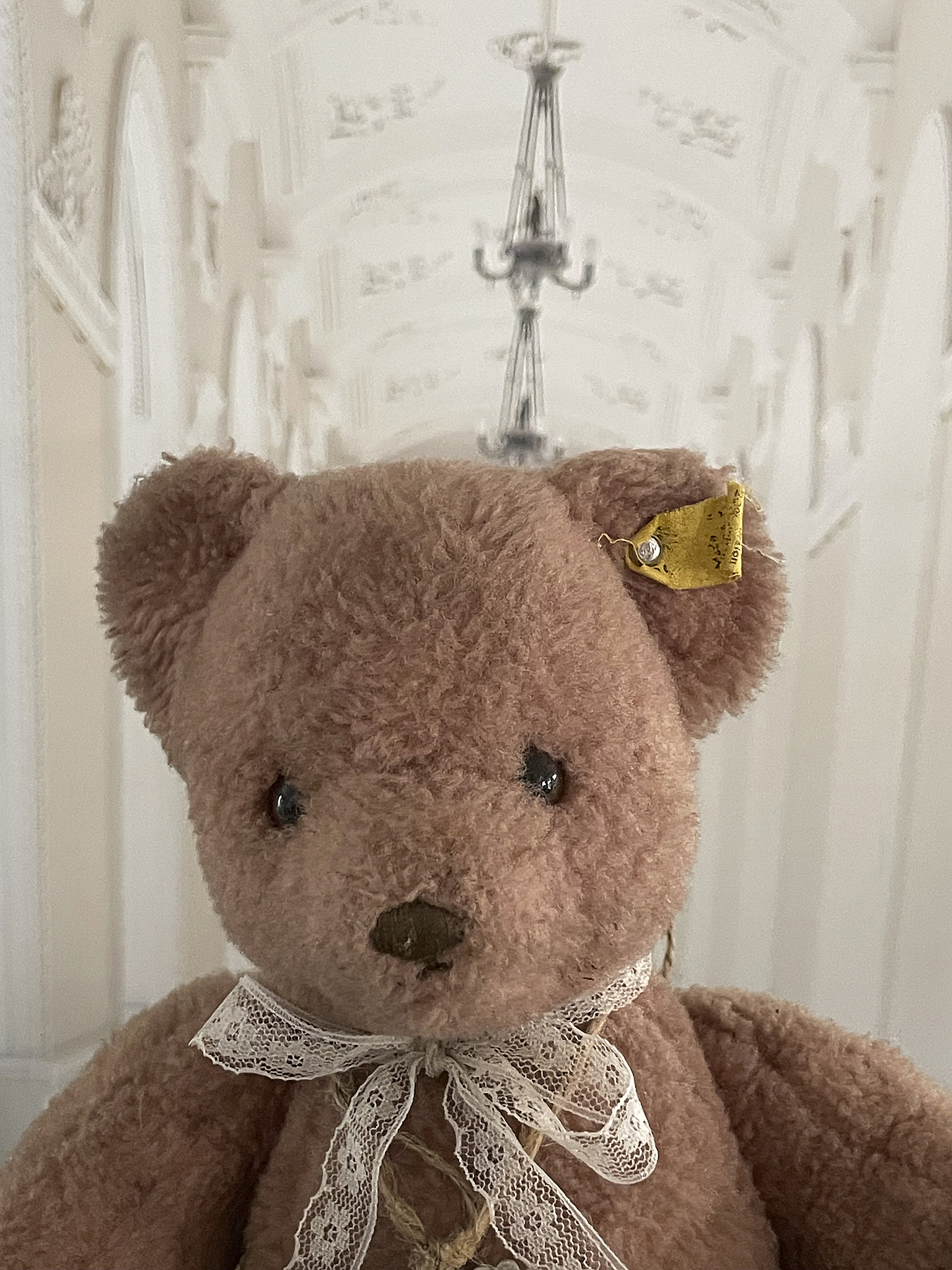 Niedlicher Teddybär mit einem eleganten Band Detailaufnahme eines Teddybären mit braunem Fell und Spitzenschleife.