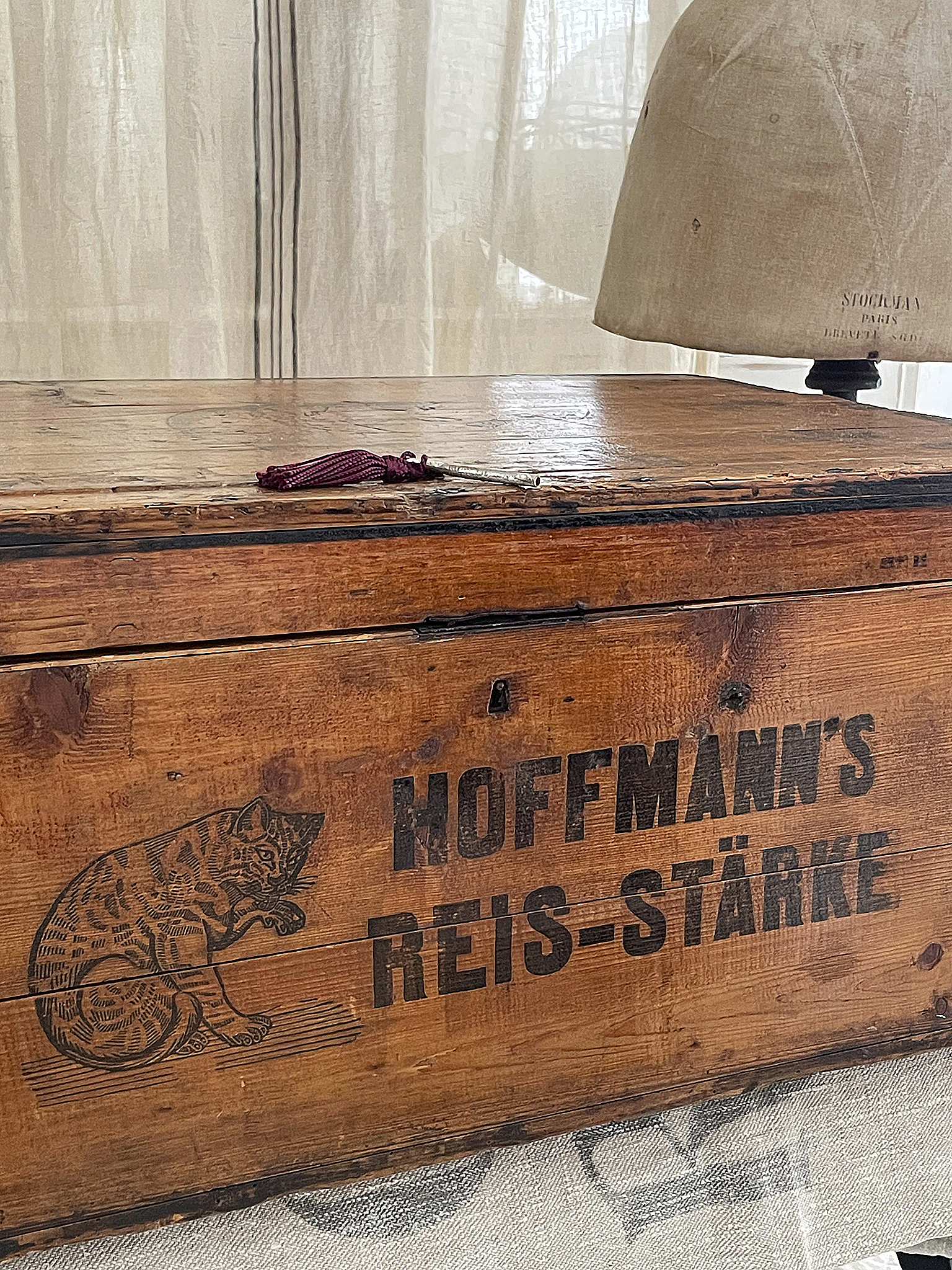 Antike Holztruhe mit Aufschrift Hoffmann's Reis-Stärke Detailaufnahme einer alten Holztruhe mit der Aufschrift Hoffmann's Reis-Stärke und einer Katze als Decoration