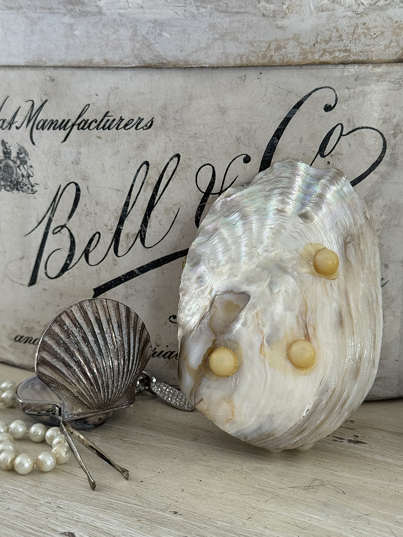 Vintage-Muschelschälchen*** Vintage-Muschelschälchen***